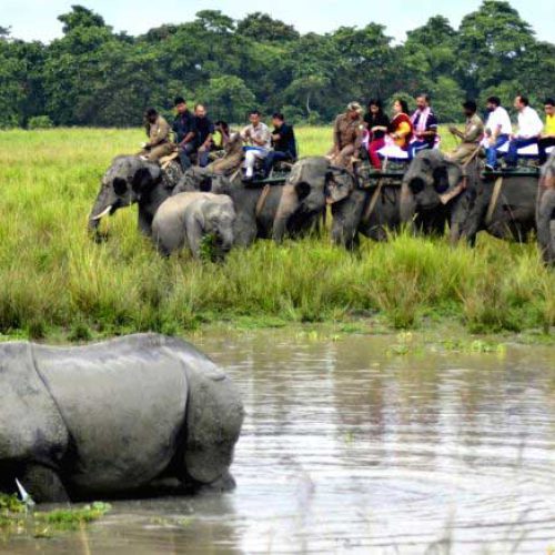 Kaziranaga National Park - Assam