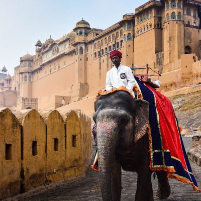 ELEPHANT SAFARI